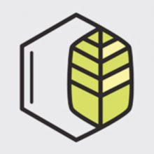 Spark1 / Bozeman / Dispensary
